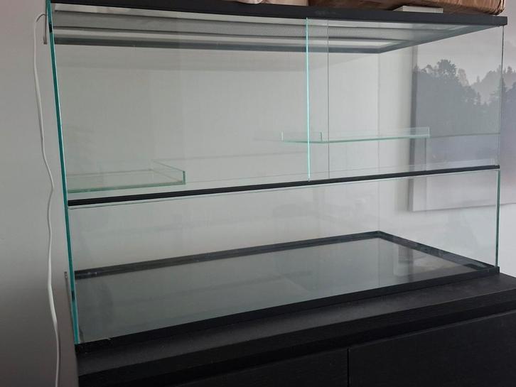 Terrarium voor knaagdieren/ hamster, Dieren en Toebehoren, Knaagdieren en Konijnen | Hokken en Kooien, Zo goed als nieuw, Kooi