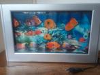 Muur tv aquarium met bewegend beeld, Ophalen of Verzenden