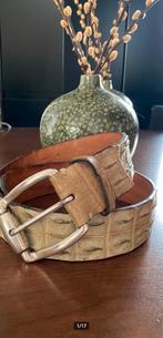 Andrea D'amico CROCO Belt Riem XXL groot! Unisex, ANDREA D'AMICO, Verzenden, Echt leder, Tailleriem