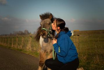 Verzorger gezocht! Omgeving Alkmaar (oost graftdijk) beschikbaar voor biedingen