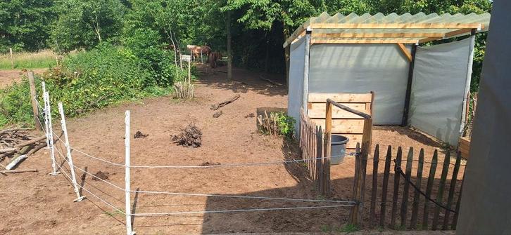 Plek op paddock voor (insuline resistente) Shetlander, Dieren en Toebehoren, Stalling en Weidegang