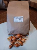 Plantuien Sturon 500 gr, Tuin en Terras, Bloembollen en Zaden, Ophalen of Verzenden, Voorjaar, Volle zon, Knol