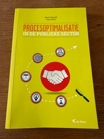 Gerard Brandt - Procesoptimalisatie in de publieke sector beschikbaar voor biedingen