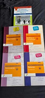 Pabo toets halen? Deze boeken helpen er zeker bij, Ophalen of Verzenden, Beta, Zo goed als nieuw, HBO