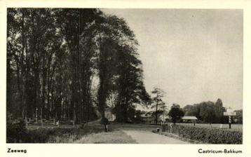 Zeeweg - Castricum-Bakkum - ongelopen beschikbaar voor biedingen