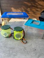 Insectenboxen 4stuks, Dieren en Toebehoren, Insecten en Spinnen, Wandelende tak