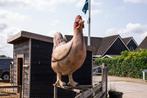 Overname kippen en andere dieren!, Dieren en Toebehoren, Pluimvee, Meerdere dieren, Kip
