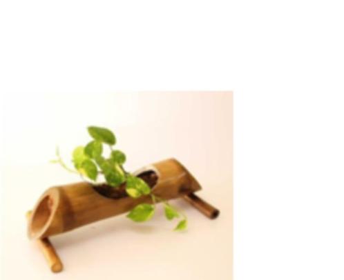 Bamboe Tafelplantenbak, Huis en Inrichting, Woonaccessoires | Schalen en Manden, Nieuw, Overige vormen, Hout, Verzenden