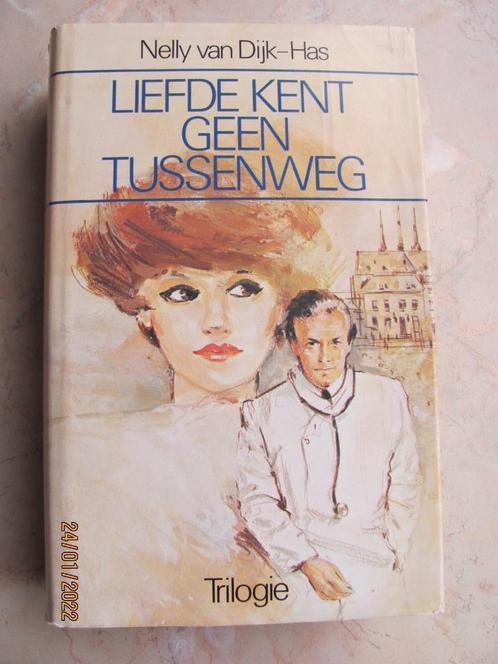 NIEUWSTAAT Nelly van Dijk-Has Liefde kent geen Tussenweg, Boeken, Romans, Zo goed als nieuw, Nederland, Ophalen of Verzenden