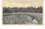 Rockanje, Ophalen of Verzenden, 1940 tot 1960, Gelopen, Zuid-Holland