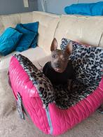 Autostoel /Mand nieuw, Dieren en Toebehoren, Honden-accessoires, Ophalen of Verzenden, Nieuw