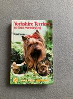 Yorkshire terriër, Honden, Ophalen of Verzenden, Zo goed als nieuw