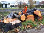 bomen verwijden of snoeien., Overige soorten, Volle zon, Bloeit niet, 400 cm of meer