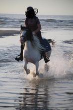 Leuke pony te koop, Dieren en Toebehoren, Pony's, Merrie, B, C pony (1.27m tot 1.37m), Gechipt