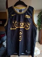 Los Angeles Lakers Basketbal Shirt - James LeBron #6, Ophalen of Verzenden, Zo goed als nieuw, Kleding