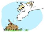 Mestonderzoek Paard & Pony, Ophalen, Nieuw, Overige soorten