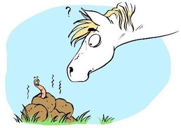 Mestonderzoek Paard & Pony beschikbaar voor biedingen
