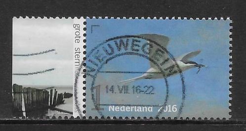 2016, Vogels van het Wad, Grote Stern [3401] (K2515), Postzegels en Munten, Postzegels | Nederland, Ophalen of Verzenden