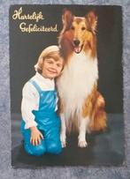 Ansichtkaart Schotse collie met kind [4945]  [VeAnAn], Ophalen of Verzenden, 1960 tot 1980, Gelopen, Hond of Kat