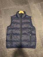 Dsquared2 bodywarmer maat S/M, Kleding | Heren, Ophalen of Verzenden, Zo goed als nieuw, Maat 48/50 (M), Blauw