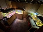 AHG (Aqua Haven Groningen) vissenopvang, Dieren en Toebehoren, Vissen | Aquaria en Toebehoren, Ophalen of Verzenden