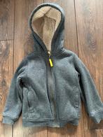 Gevoerd vest grijs maat 110/116, Ophalen of Verzenden, Gebruikt, Jongen of Meisje, Trui of Vest