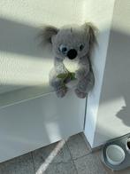 Koala knuffel beer, Ophalen, Zo goed als nieuw