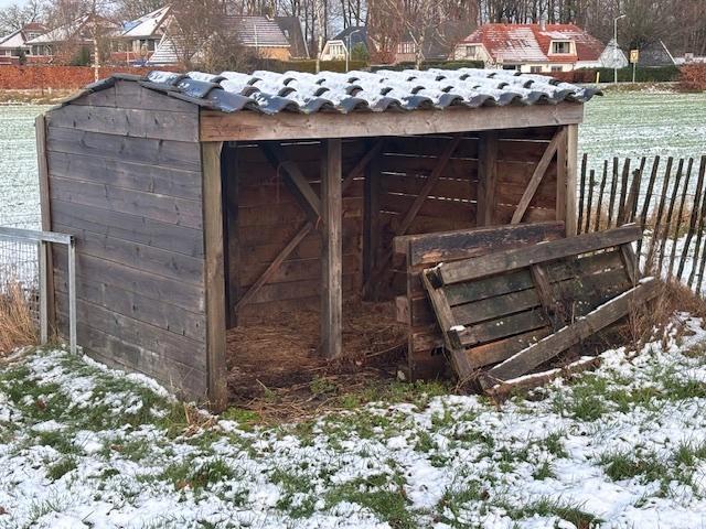 Schapenhok h170, d190 en b250 cm, gratis ophalen, Dieren en Toebehoren, Schapen, Geiten en Varkens, Schaap, Meerdere dieren, 3 tot 5 jaar