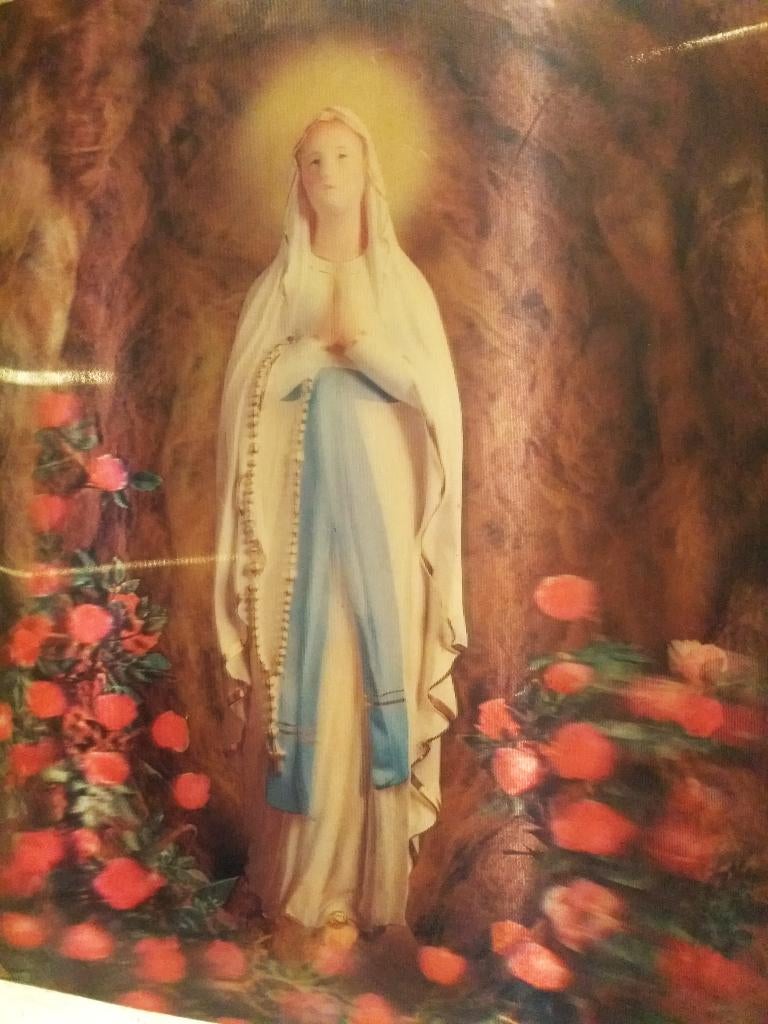 TOPPAN TOP STEREO: VIRGIN OF LOURDES, 3D HOLOGRAM 34X25 CM, Ophalen of Verzenden