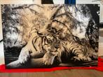 Glas Schilderij tijger 116x78cm, Ophalen, Zo goed als nieuw, Schilderij, 100 tot 125 cm