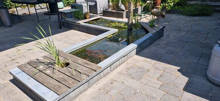 Mooie L-vormige vijver met koi karpers, Tuin en Terras, Vijvers, Gebruikt, Ophalen