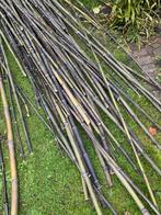 Bamboe stokken voor moestuin, Ophalen, Gebruikt, Palen, Hardhout