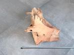 Hout voor terrarium, Dieren en Toebehoren, Ophalen, Gebruikt, Tak, Plant, Rots of Steen