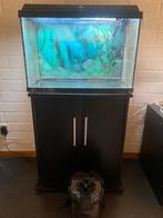 Aquarium juwel primolux 60 met ext. Tetra filter, Ophalen of Verzenden, Gebruikt, Leeg aquarium