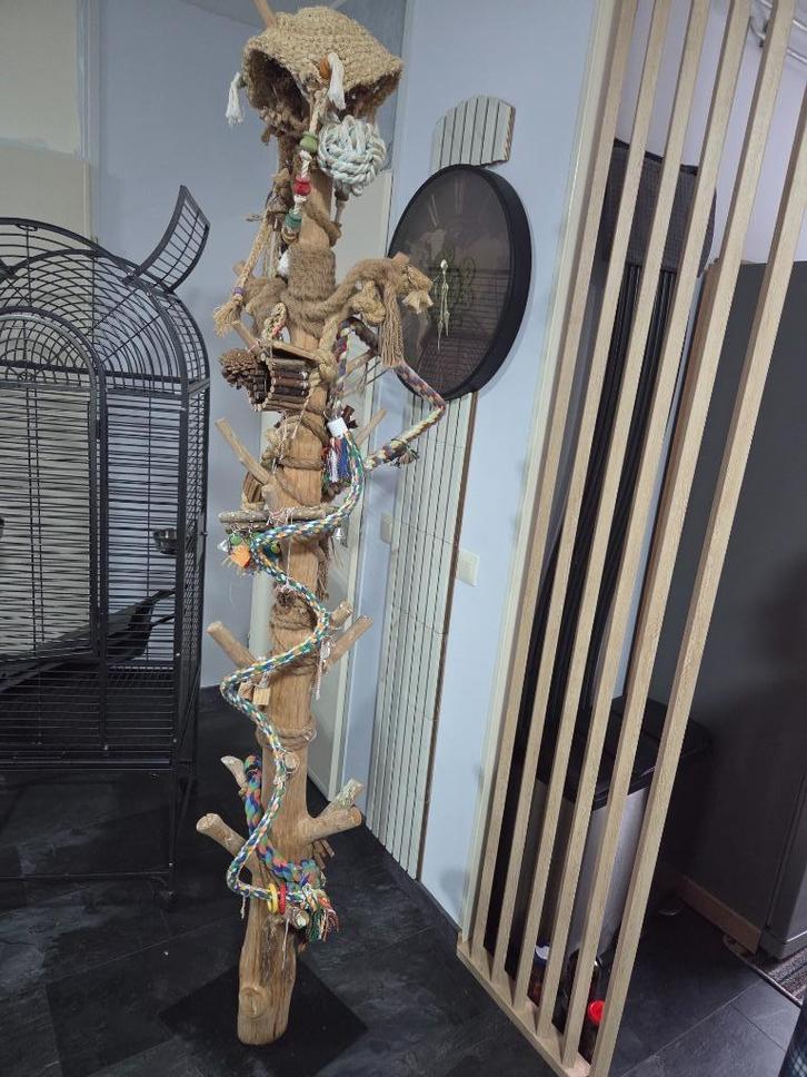 vogels speelboom, Dieren en Toebehoren, Vogels | Parkieten en Papegaaien, Parkiet, Meerdere dieren