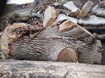 populieren brandhout, 3 tot 6 m³, Ophalen, Overige houtsoorten, Stammen