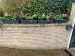 Plantenbakken voor terras balkon met beplanting naar wens, Nieuw, Ophalen of Verzenden, Hout