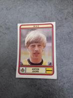 Panini sticker Voetbal 80. Speler Anton Joore NAC Breda., Sticker, Zo goed als nieuw, Verzenden