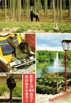 Apenheul Berg en Bos, Apeldoorn - 4 afb. apen - gelopen, Verzamelen, Ansichtkaarten | Nederland, Ophalen of Verzenden, Voor 1920