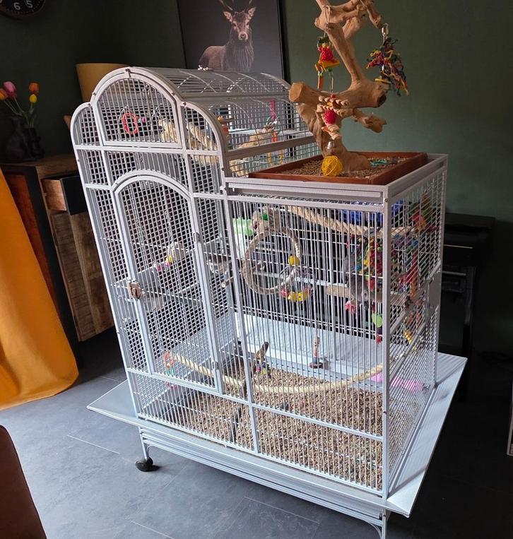 Papegaaienkooi - Strong - Villa Venus, Dieren en Toebehoren, Vogels | Hokken en Kooien, Gebruikt, Vogelkooi, Metaal, Ophalen