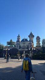 Efteling entree kaartje, Tickets en Kaartjes, Eén persoon, Ticket of Toegangskaart