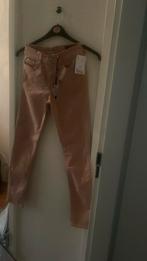 Diesel broek, Ophalen of Verzenden, Nieuw, Blauw, W27 (confectie 34) of kleiner