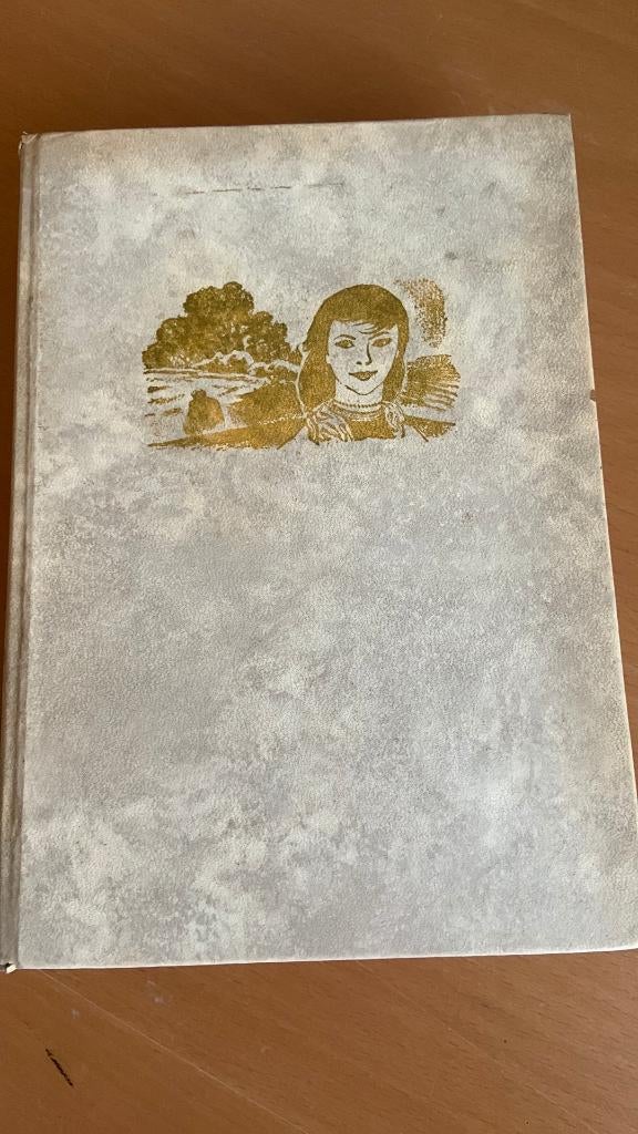 De wondere weg - Foka van Loon, Boeken, Ophalen of Verzenden, Zo goed als nieuw