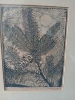 Jo bezaan ets dennenboom met dennenappel, Ophalen of Verzenden