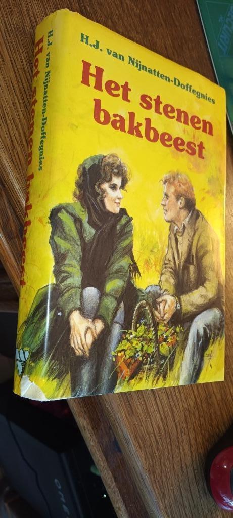 H.J. van Nijnatten-Doffegnies - Het stenen bakbeest, Boeken, Romans, Gelezen, Nederland, Ophalen of Verzenden