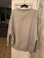 Sweater, Nieuw, 10 days, Grijs, Ophalen of Verzenden