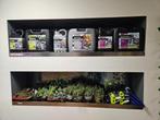 Terrarium planten, Dieren en Toebehoren, Ophalen, Nieuw, Tak, Plant, Rots of Steen