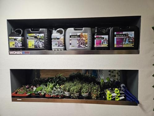 Terrarium planten, Dieren en Toebehoren, Reptielen en Amfibieën | Toebehoren, Nieuw, Tak, Plant, Rots of Steen, Ophalen