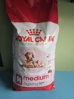 Royal Canin Medium Ageing 15 kg, Dieren en Toebehoren, Ophalen of Verzenden, Hond