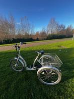 Electric tricycle, Fietsen en Brommers, Ophalen of Verzenden, Zo goed als nieuw, Onbekend